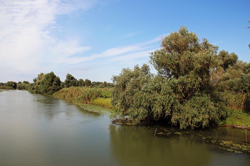 14_delta_185.jpg