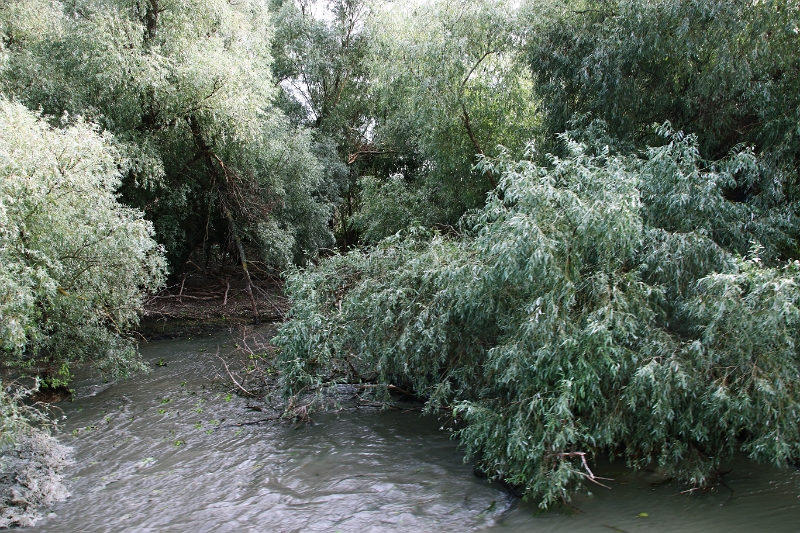 14_delta_204.jpg