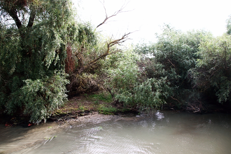 14_delta_207.jpg