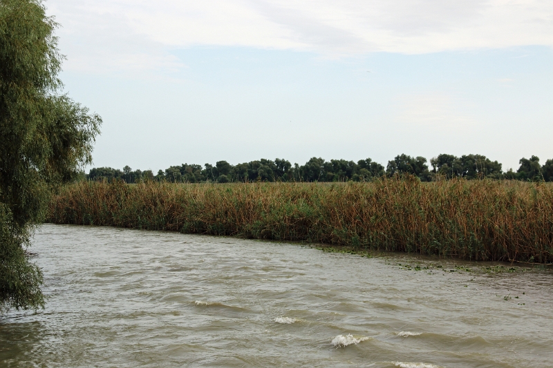14_delta_210.jpg