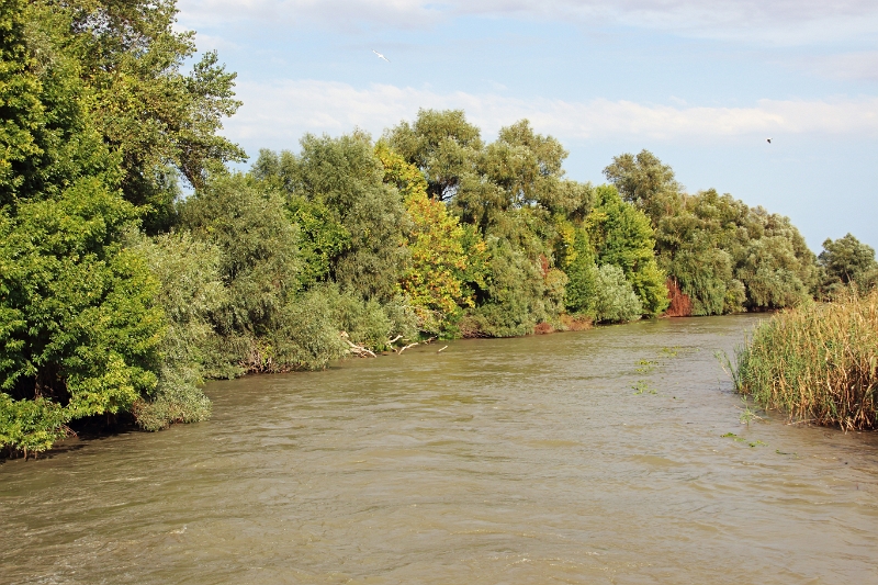 14_delta_229.jpg
