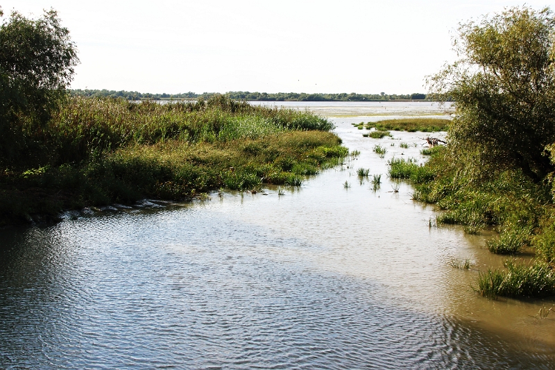 14_delta_233.jpg