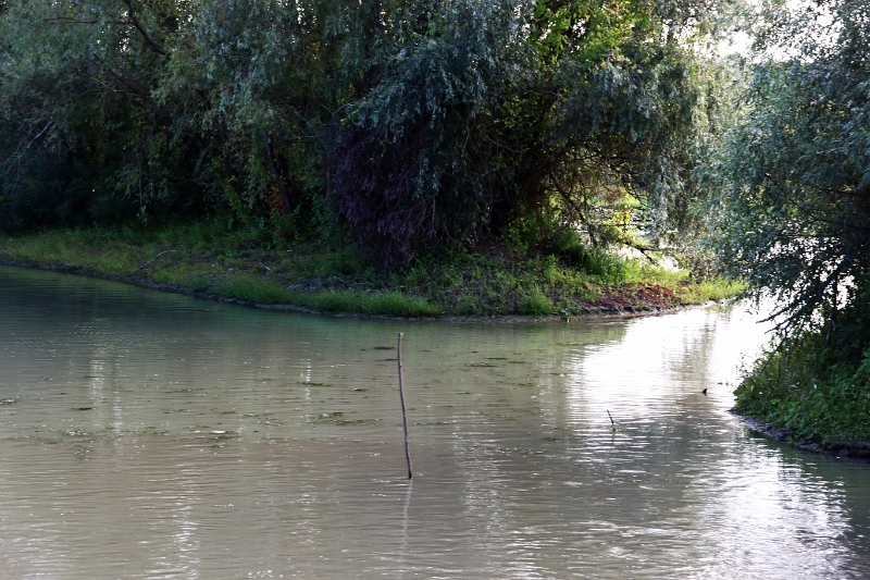 14_delta_250.jpg