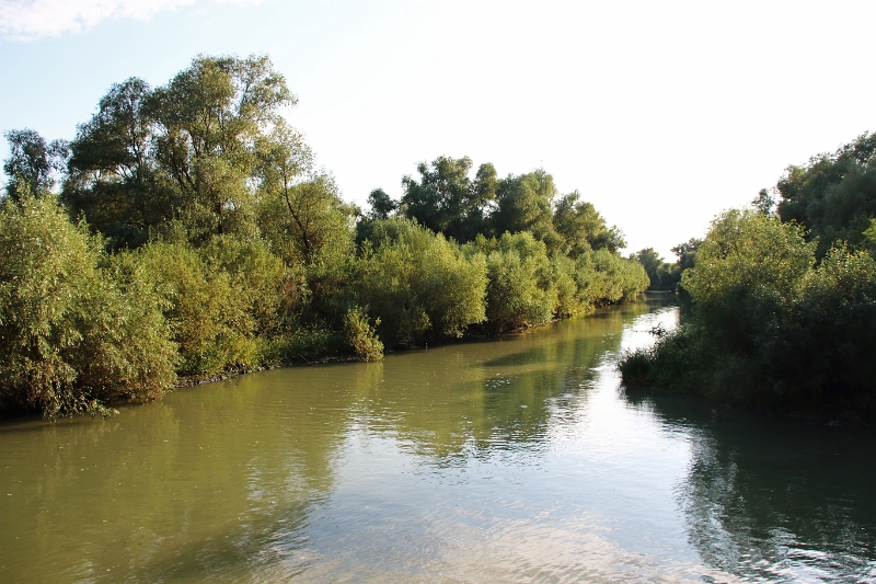 14_delta_273.jpg