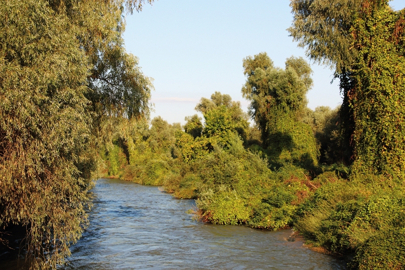 14_delta_277.jpg