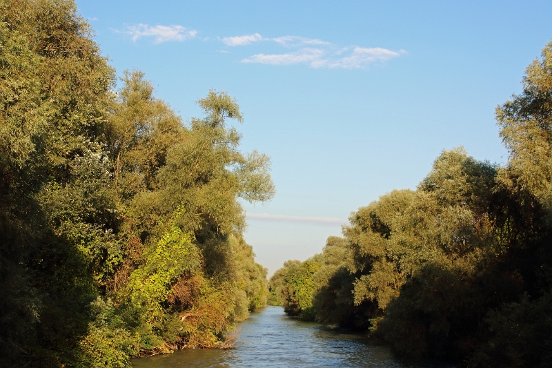 14_delta_283.jpg