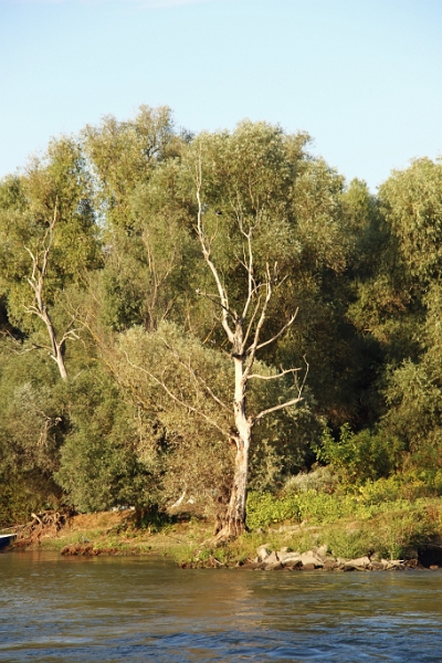 14_delta_288.jpg