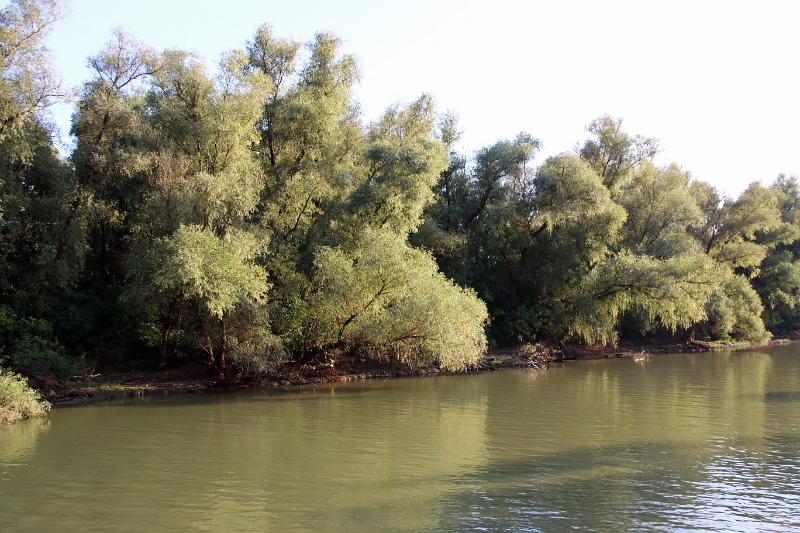14_delta_292.jpg