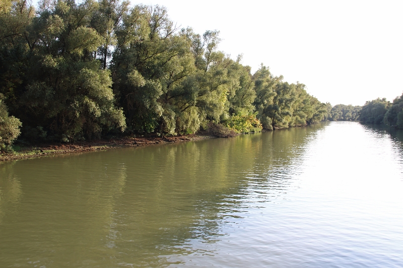 14_delta_294.jpg