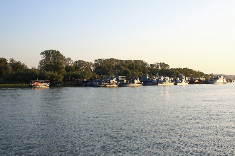 14_delta_313.jpg