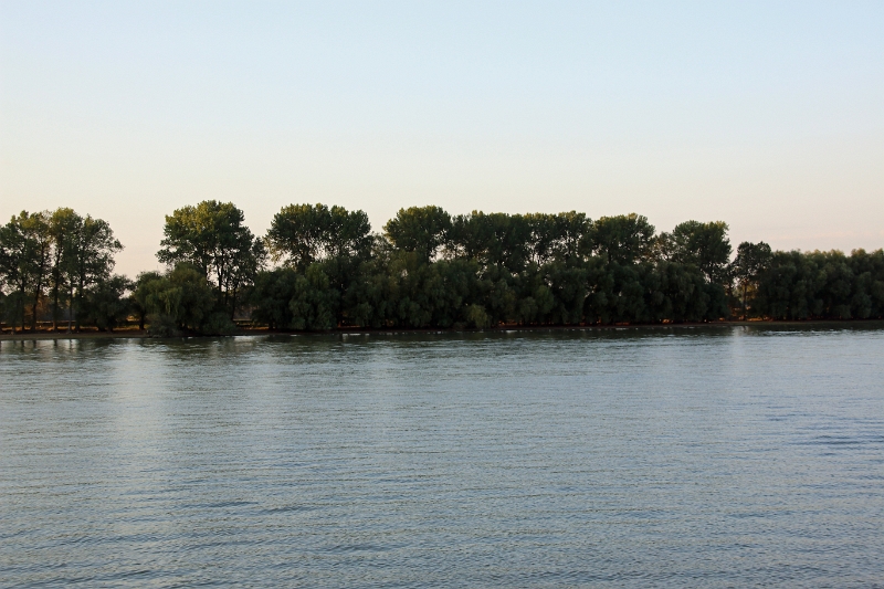 14_delta_314.jpg