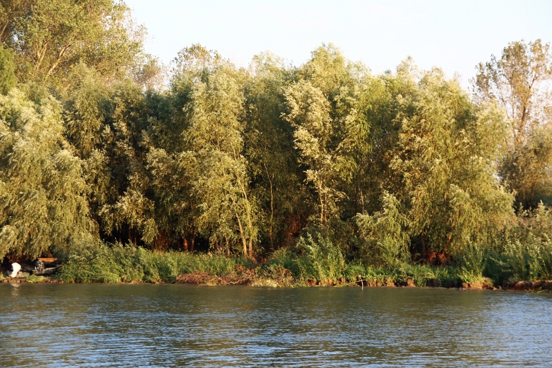 14_delta_320.jpg