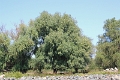 14_delta_025