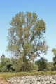 14_delta_026