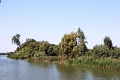 14_delta_033