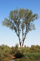 14_delta_035