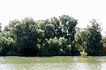 14_delta_036