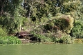 14_delta_037