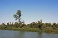 14_delta_039