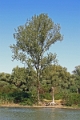 14_delta_043