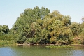 14_delta_044