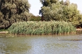 14_delta_047