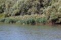 14_delta_048
