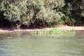 14_delta_049