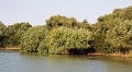 14_delta_050