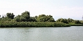 14_delta_051