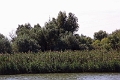 14_delta_054