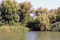 14_delta_055