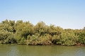 14_delta_057