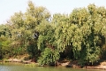 14_delta_059