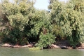 14_delta_060