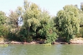 14_delta_061