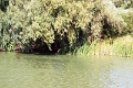 14_delta_063