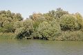 14_delta_064