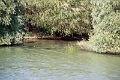 14_delta_067