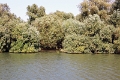 14_delta_068