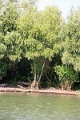 14_delta_070