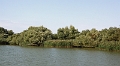 14_delta_071