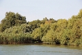 14_delta_073