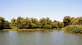 14_delta_074