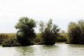 14_delta_076