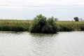 14_delta_077