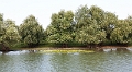 14_delta_082