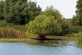 14_delta_083