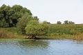 14_delta_085