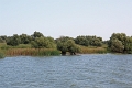 14_delta_088